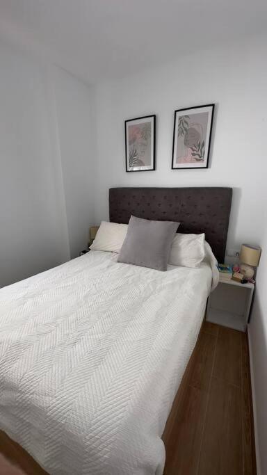 Rockside Residentes Suites La Linea La Línea de la Concepción Dış mekan fotoğraf